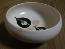 芽がでた球根の鉢